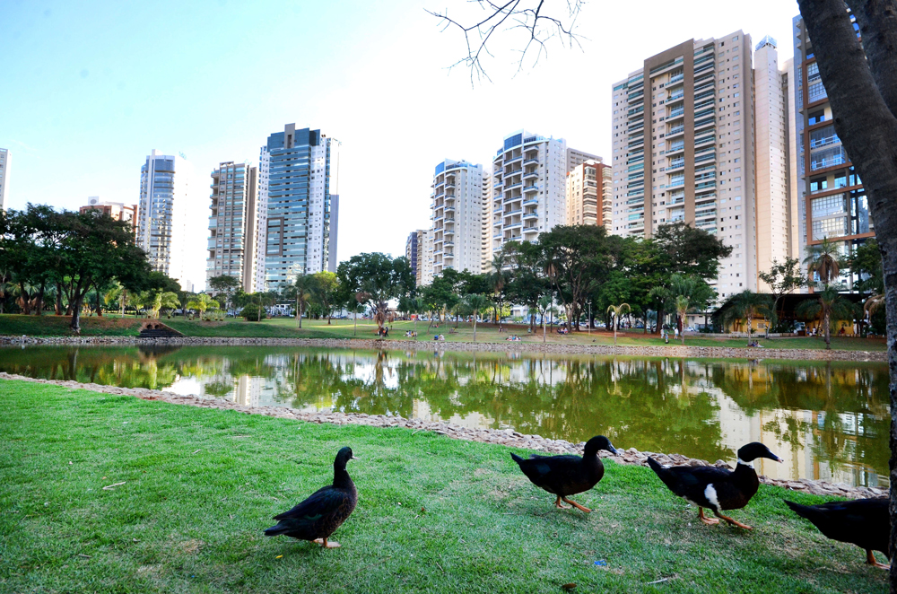 Parque Flamboyant